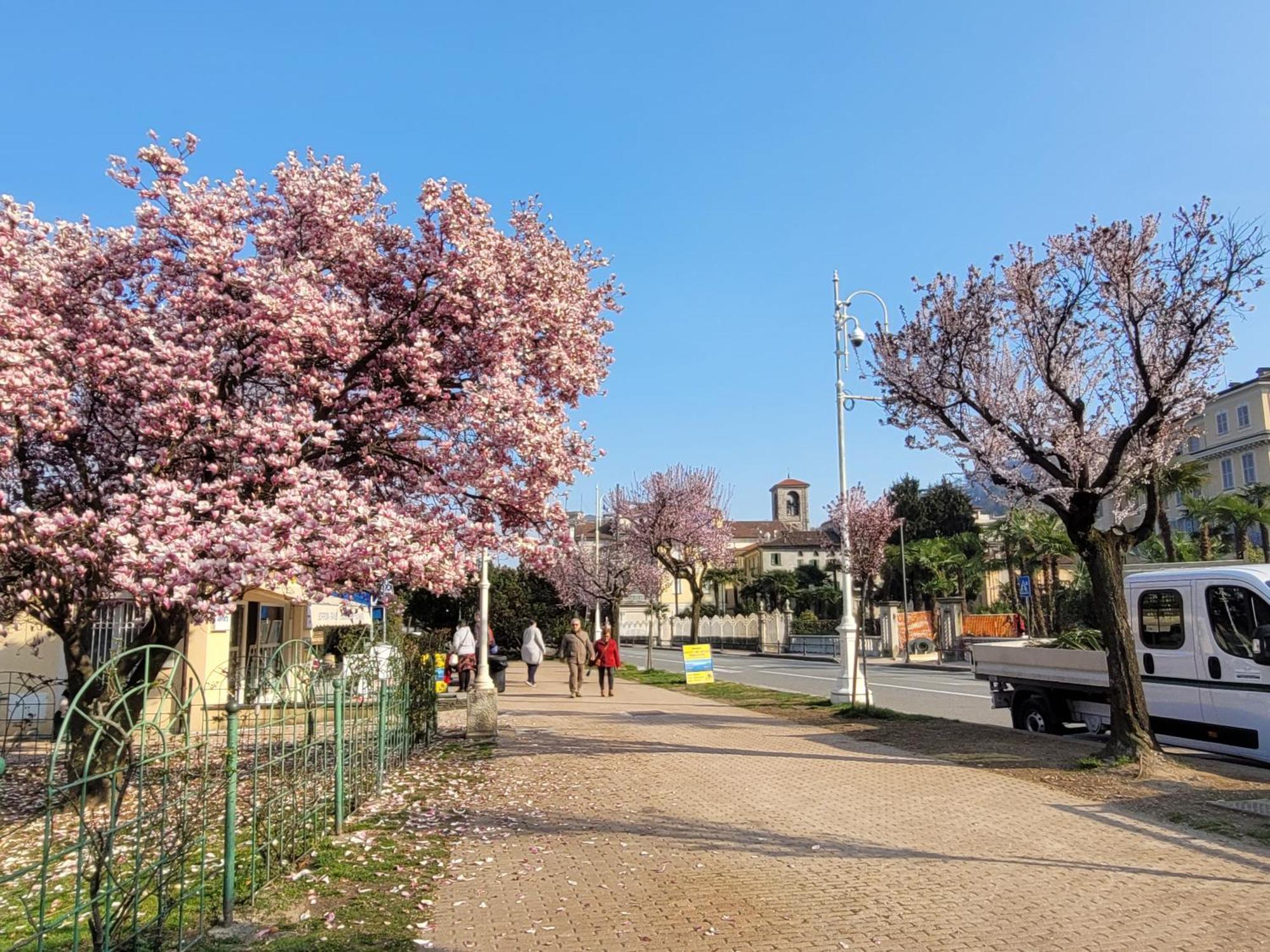 Al Dolce Vita Στρέσα Εξωτερικό φωτογραφία